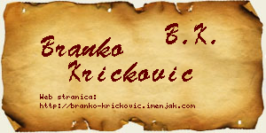Branko Kričković vizit kartica